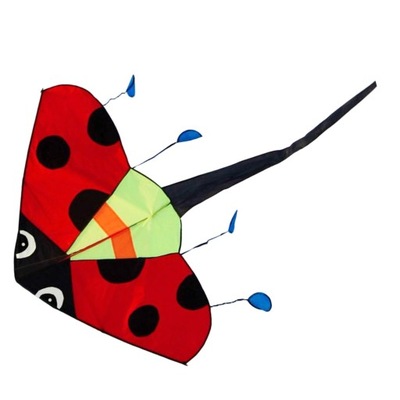 Duży latawiec Delta Kite Fly Kite o dużej roz