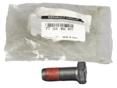 Болт скоба суппорт renault оригинальный номер 4114100q0a 7703101617 фото №1