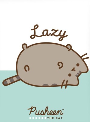 DUŻY KOC PUSHEEN THE CAT LAZY CAT ORYGINAŁ LICENCJA 130x170 MIŁY PLUSZ