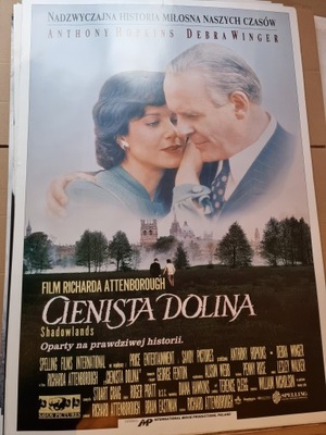 PLAKAT Cienista dolina plakat filmowy
