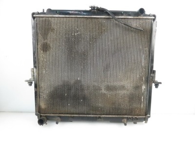 Радиатор wody pathfinder r51 4.0 21460ea265 фото №1