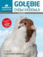 Gołębie Chów i hodowla