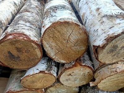 Drewno suche do kominka Brzoza 18 kg