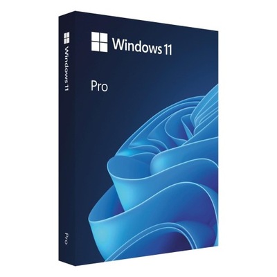 Microsoft Windows 11 Professional