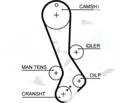 Ремінь розподільного валу 5282xs gates lexus is i фото №1