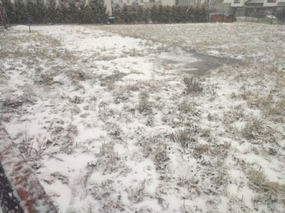 Działka, Mikołów, Mikołowski, 800 m²