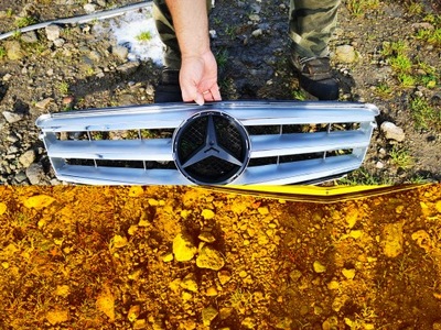 Mercedes w204 lift 07-14 решітка радіатора решітка радіатора фото №1