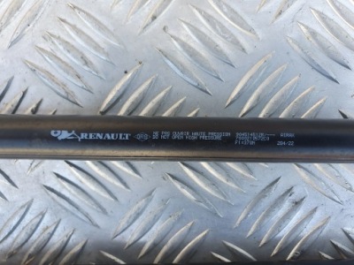 Амортизатори кришки задня комплект sandero iii stepway фото №1