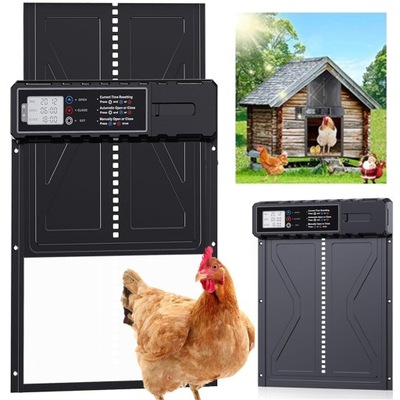 AUTOMATYCZNE DRZWI DO KURNIKA Z TIMEREM BLOKADA PRZYTRZAŚNIĘCIA WYTRZYMAŁY