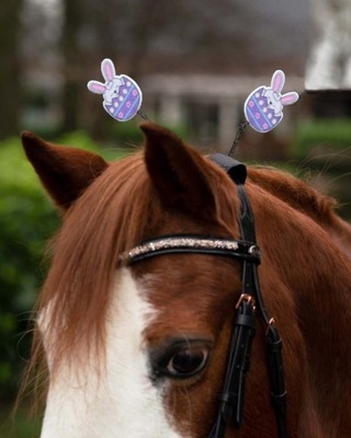 Ozdoba do ogłowia QHP Easter zajączki