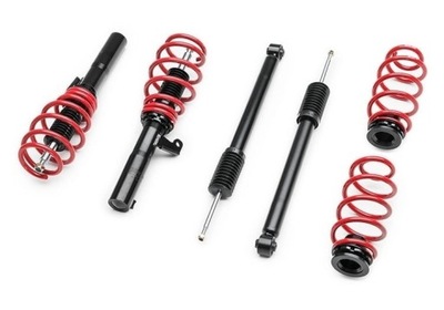 SUSPENSIÓN ROSCADO AUDI S3 SALOON 55MM STRUT RACELAND  