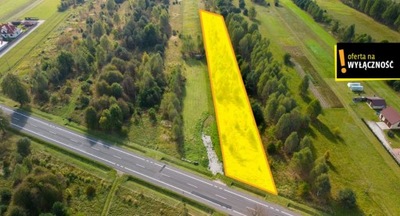 Działka, Mniów, Mniów (gm.), 4029 m²