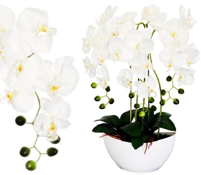 Storczyk sztuczny storczyki Kwiat orchidea KwiatY