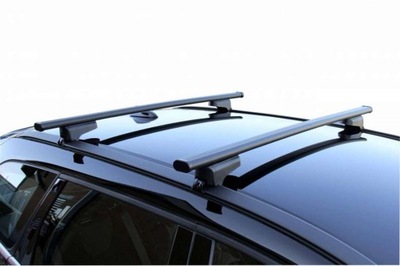 BOOT ROOF DACIA SANDERO STEPWAY 2009-2012 - milautoparts-fr.ukrlive.com