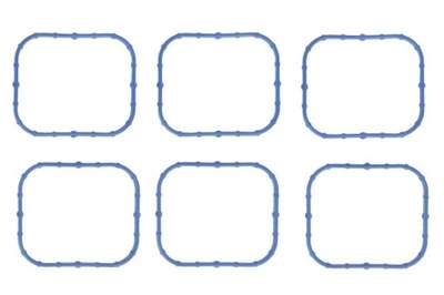 КОМПЛЕКТ ПРОКЛАДОК КОЛЕКТОРА ВПУСКНОГО ELRING 554.600