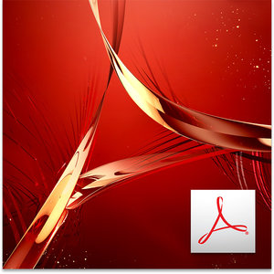 Adobe Adobe Acrobat Pro DC 1 PC / 1 Rok