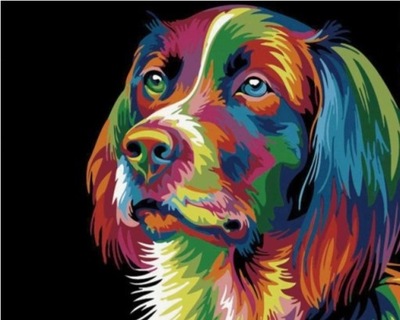 Malowanie po numerach Kolorowy Tęczowy Pies 40x50