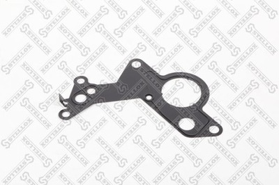 Engine gaskets