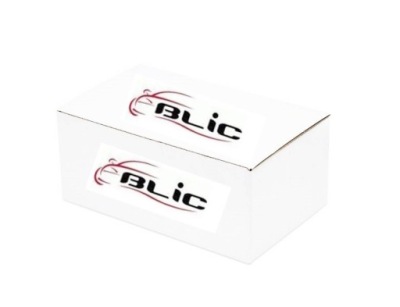 Blic 5511-00-5514222p спойлер фото №1