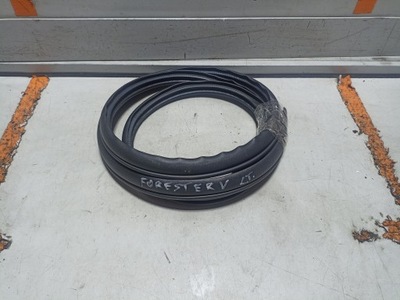 Subaru forester v lift прокладка двері ліва задня фото №1