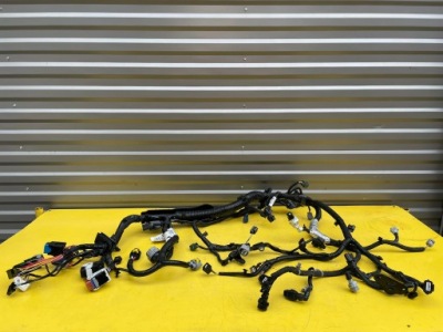 Renault clio v электропроводка двигателя жгут e-tech фото №1