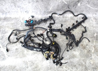 Джгут дроти двигуна bmw f01 f02 4.4b n63b44 фото №1