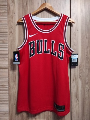 Koszulka Nike Swingman NBA Chicago Bulls M 2019