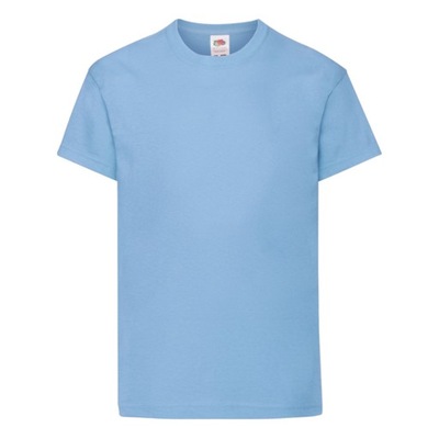 DZIECIĘCA KOSZULKA T-SHIRT FRUIT FC sky blue 104