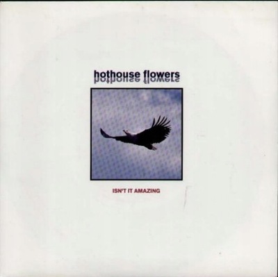 CD Hothouse Flowers – Isn't It Amazing