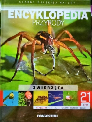 Encyklopedia przyrody. Zwierzęta. Pajęczaki – kosarze, zaleszczotki