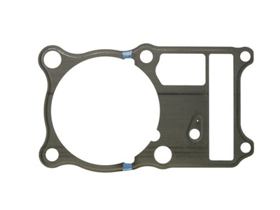 GASKET UNDER CYLINDER HONDA VT SHADOW 600 88-97 - milautoparts-fr.ukrlive.com