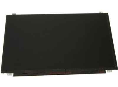 LCD 15.6" FHD 1920x1080 IPS AU Optronics B156HAN06.0 Y502X
