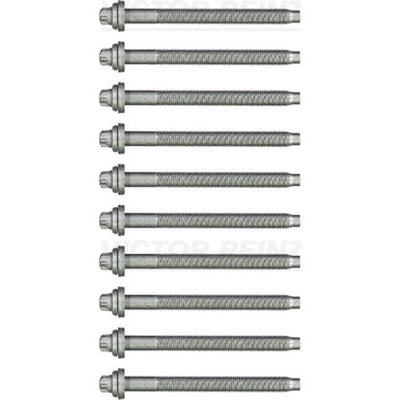 KOMPLEKTAS SRUB GALVUTĖS CILINDRŲ VICTOR REINZ 14-35774-01 