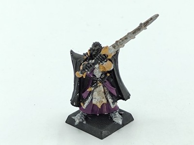 Warhammer Fantasy Battle Dark Elf Black Guard Champion figurka metal