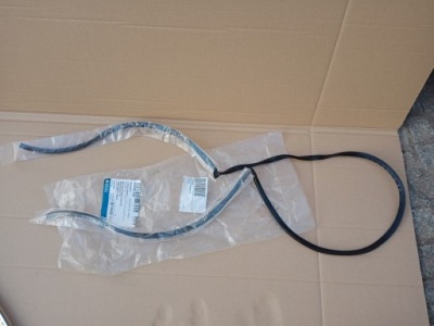 Renault kadjar прокладка скло передньої лобове 2015r фото №1