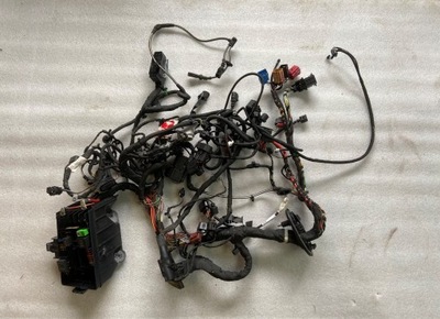 Джгут двигуна volkswagen 5q0927903s фото №1