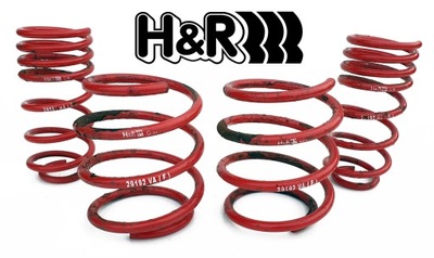 MINI COOPER R50 R53 SPRING SPORTS TYPE SUPPRESSANT H&R TUNING TUNINGOWE  