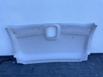 Trafic iii lift потолок фото №1