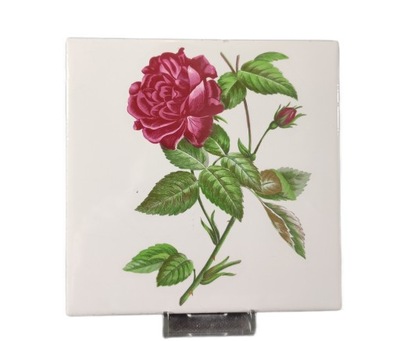 Villeroy Boch kafel róża 15x15