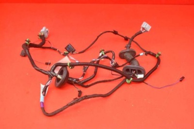 Джгут двері лівий задня 1004425-00-v tesla model s lift 16-21 фото №1