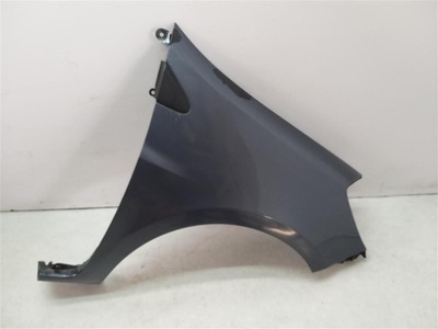 WING FRONT RIGHT RENAULT CLIO III 05-09 TEJ47  