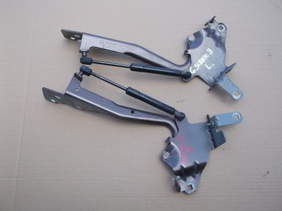 Renault scenic iii 3 петлі капот tecnb комплект фото №1