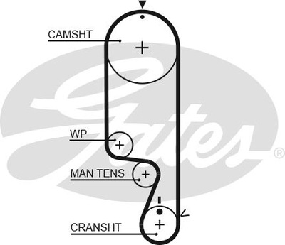 BELT VALVE CONTROL SYSTEM FITS DO: CHEVROLET AVEO / KALOS, MATIZ, SPARK, DAEWOO  