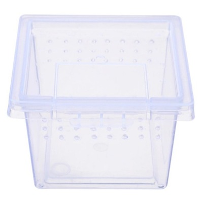 Terrario Insect Box Mini - plastikowe terrarium 6,5x6,5x4,5cm