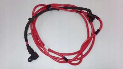 Шланг плюсовой аккумулятор q5 sq5 80a 80a972266 фото №1
