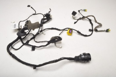 Ferrari california f149 джгут двері 256553 фото №1