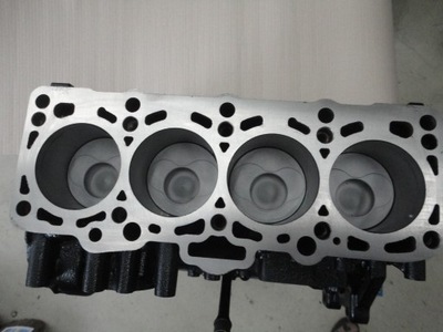 UNIT KPL. ENGINE VW T5 T6 TRANSPORTER 2.0 TDI CFC  