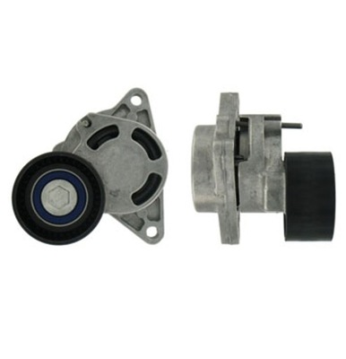 НАТЯЖИТЕЛЬ РЕМНЯ WIELOROWK. RENAULT 2,5DCI MASTER SKF