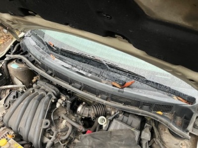 Nissan tiida жабо 5d europa фото №1