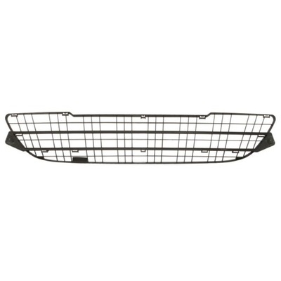 Решітка радіатора бампер перед renault kangoo ii 05-12 фото №1